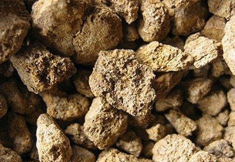 我国初次在东南太平洋发现大面积富稀土沉积